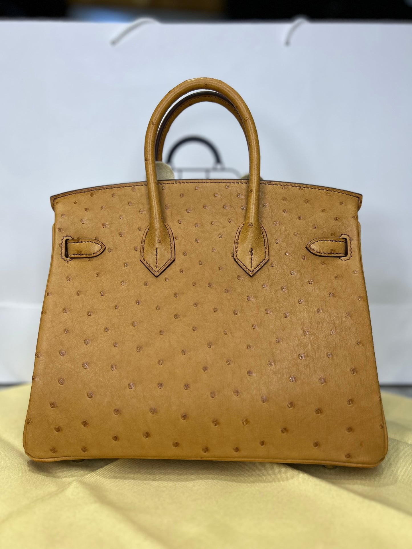 Hermes Birkin 25 Ostrich GHW 2024 New Full Set