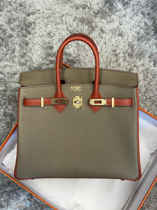 Hermes Birkin 25 2025 New Full Set