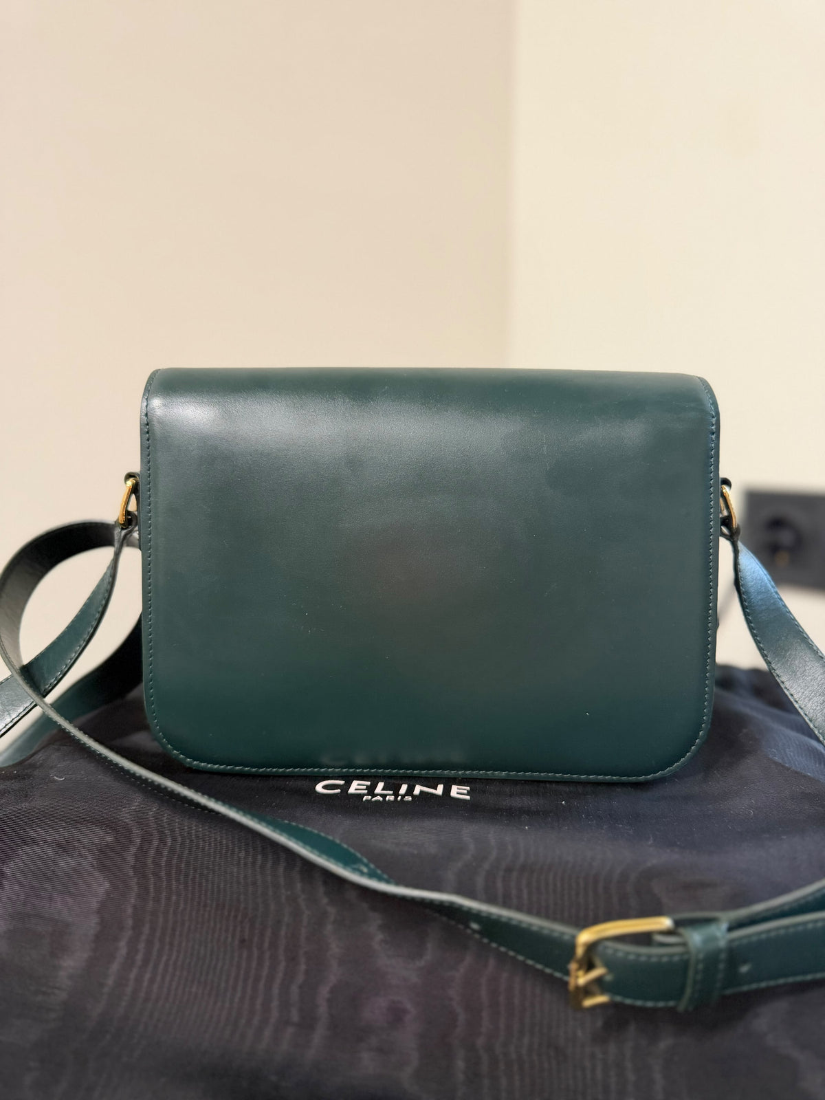 Celine Teen Triomphe Leather Crossbody Bag – Dark Green