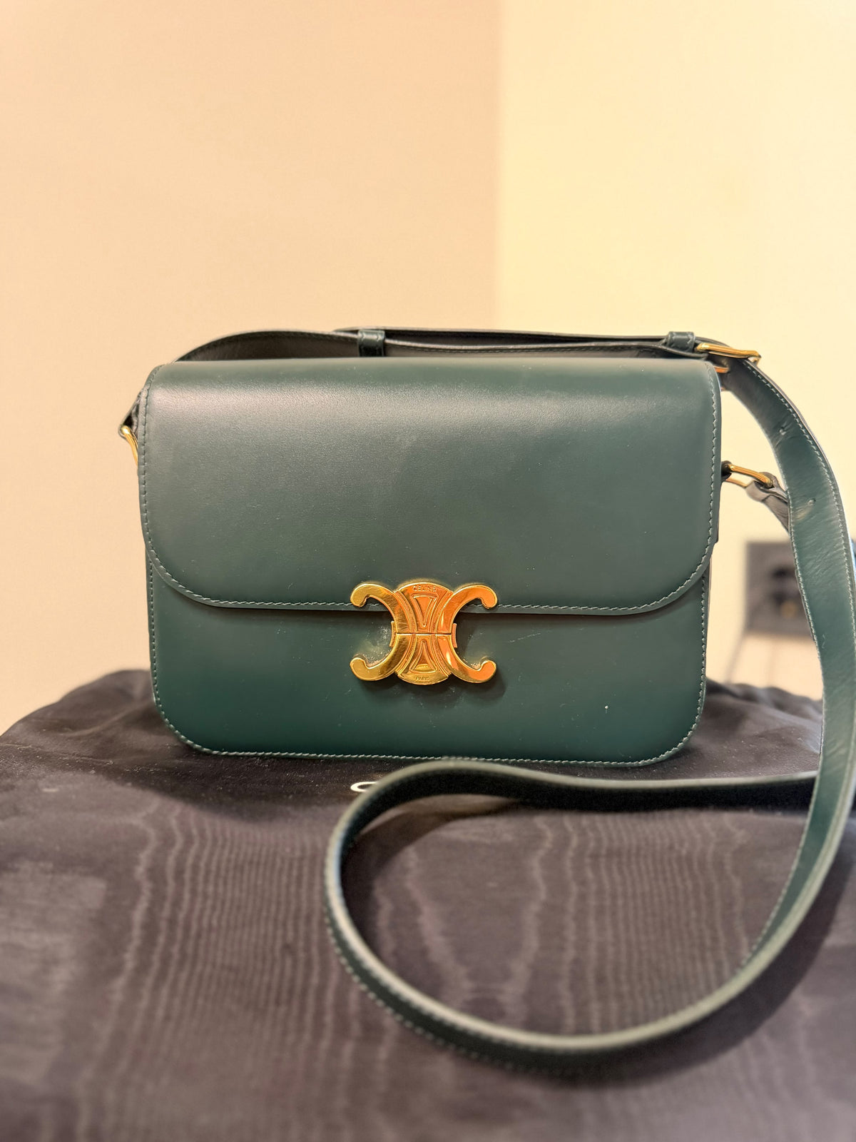 Celine Teen Triomphe Leather Crossbody Bag – Dark Green