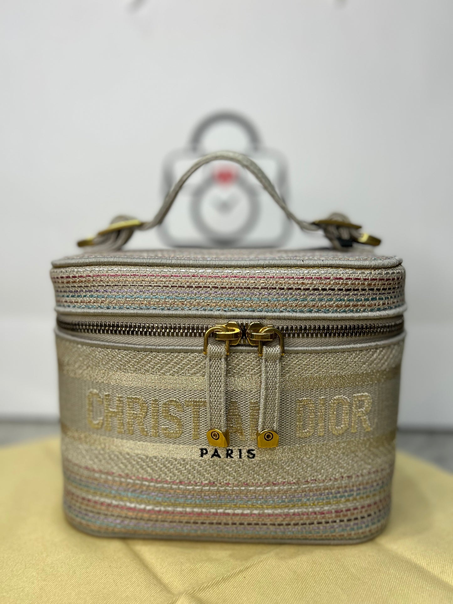 Christian Dior Ladies Bag