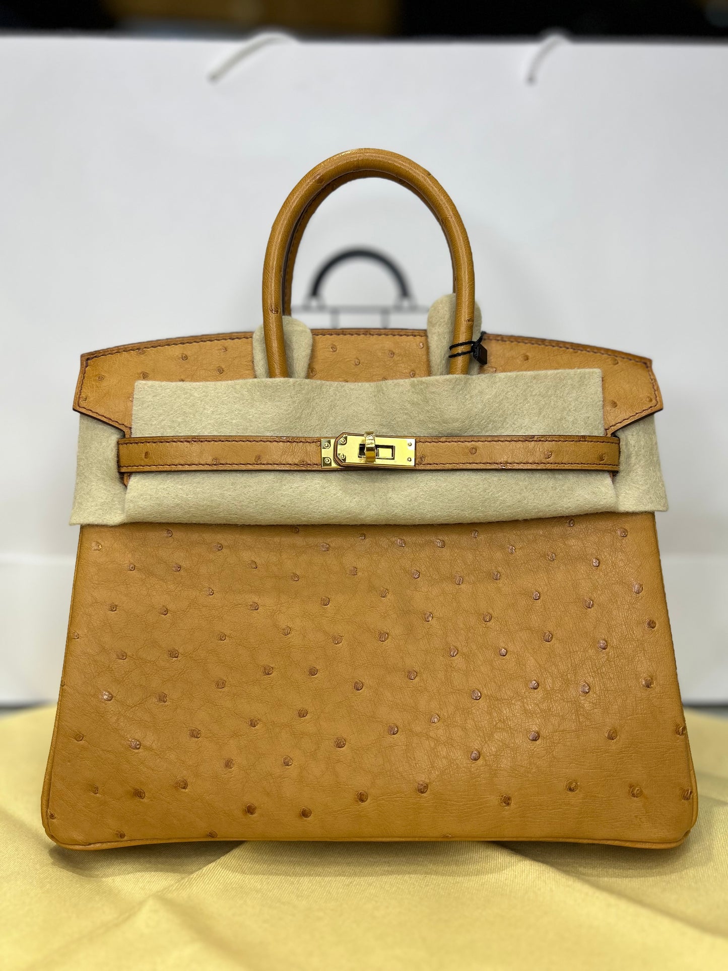 Hermes Birkin 25 Ostrich GHW 2024 New Full Set