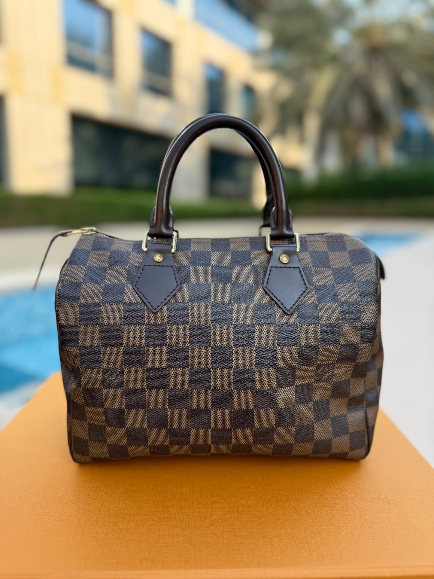 Louis Vuitton Speedy 25 Damier Ebene
