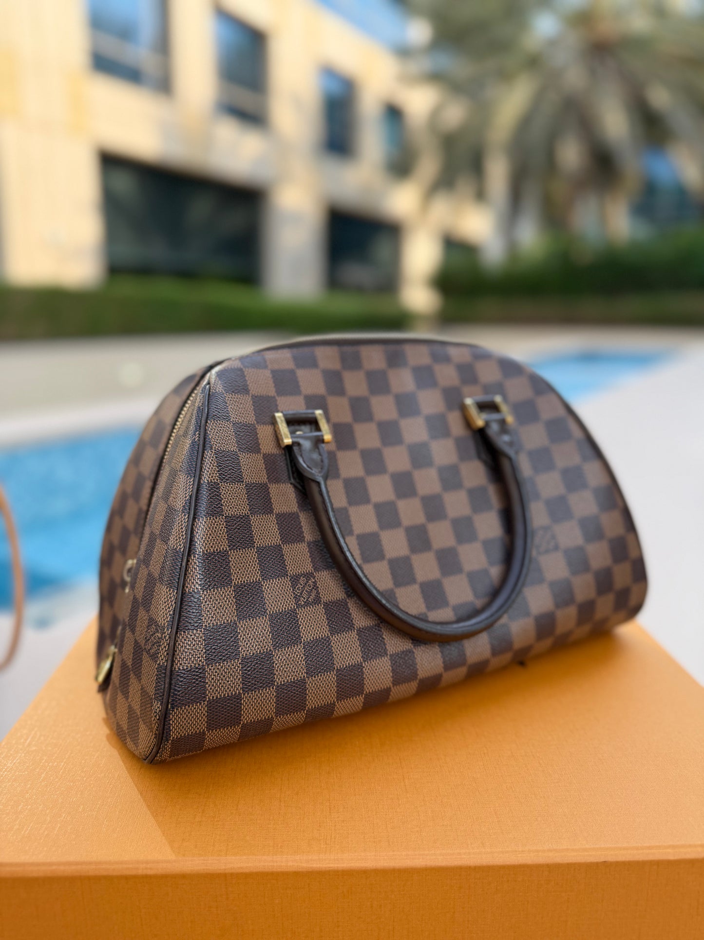 Louis Vuitton Damier Ebene Canvas Ribera MM Bag