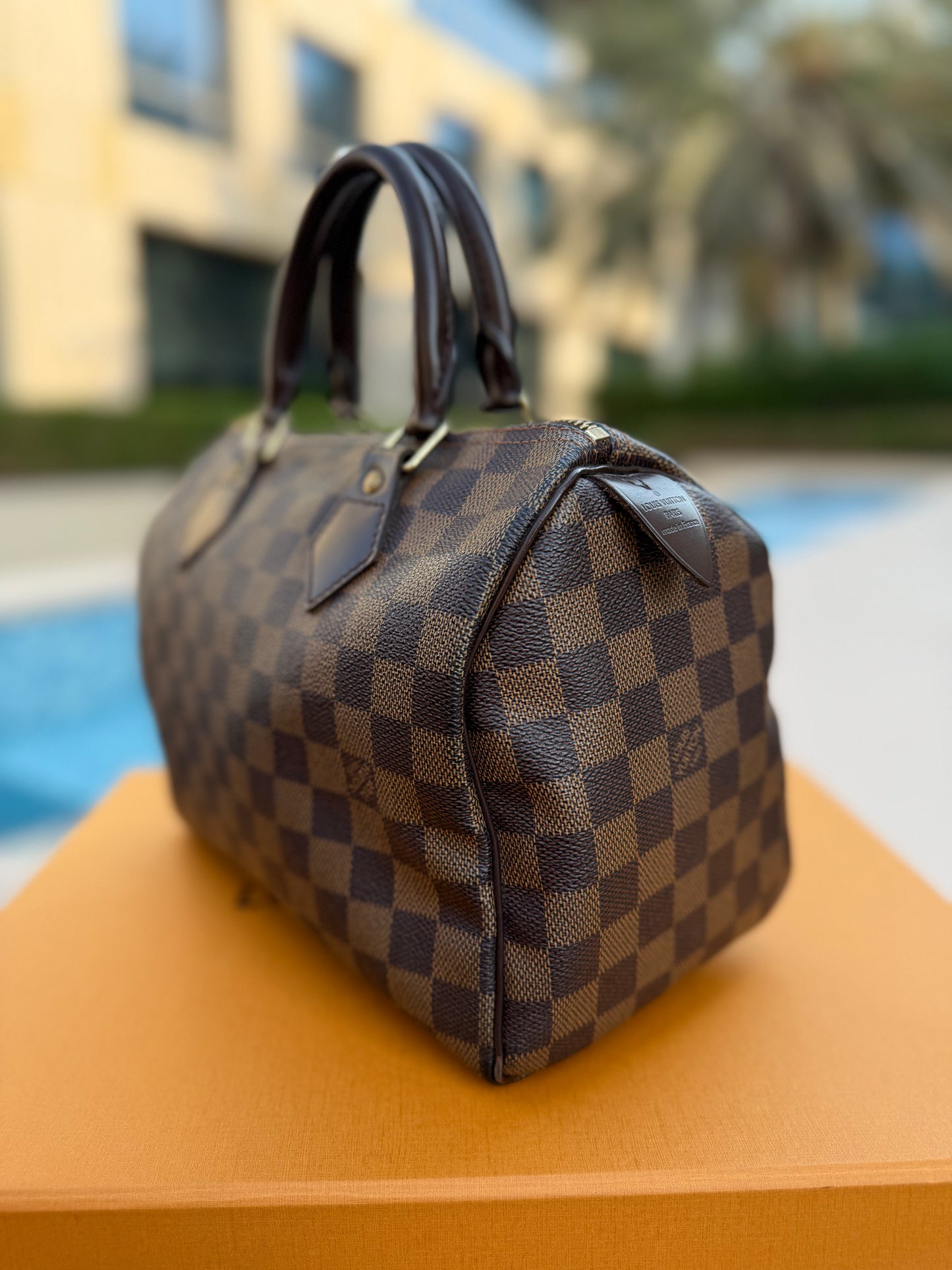 Louis Vuitton Speedy 25 Damier Ebene