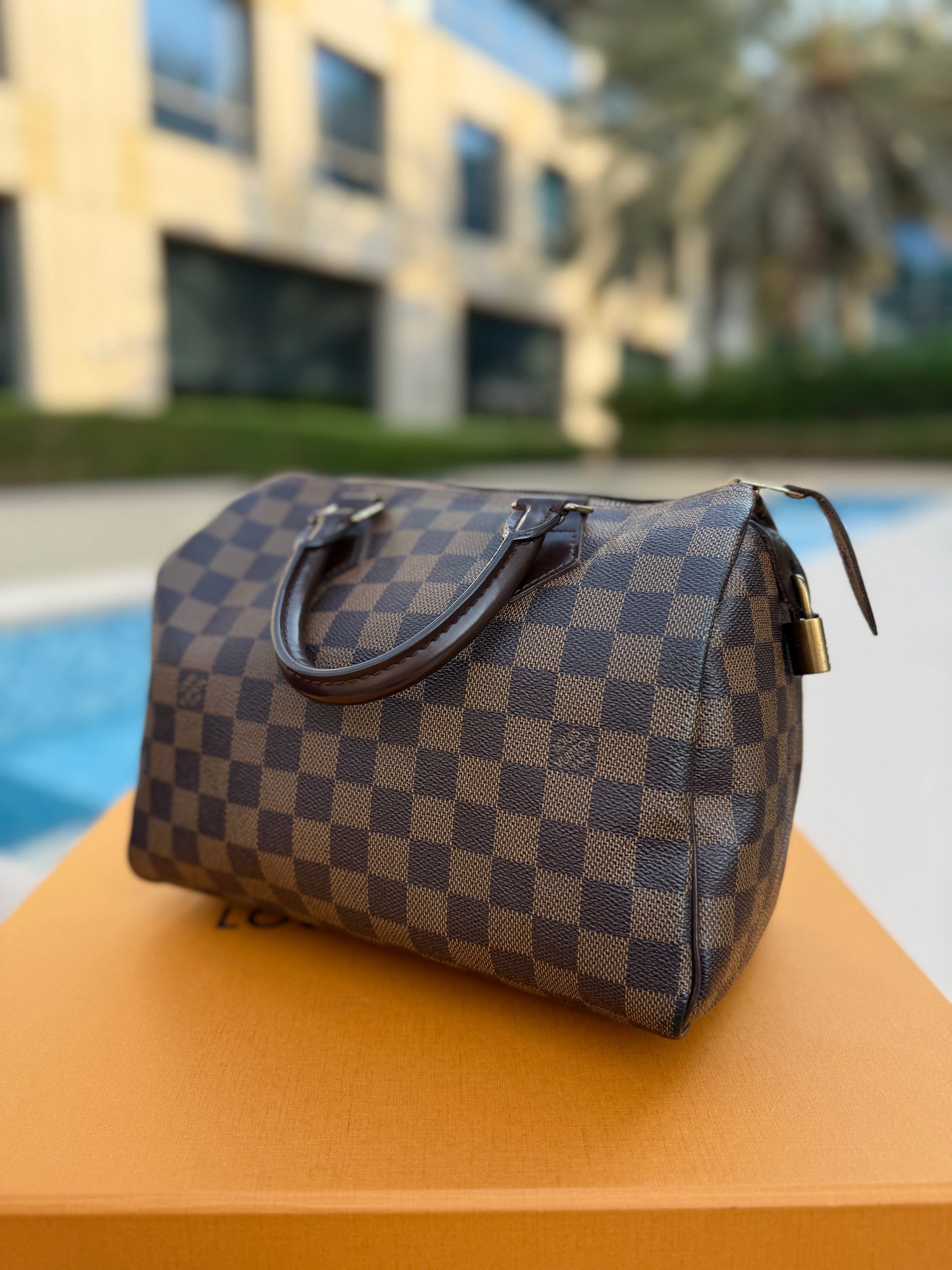 Louis Vuitton Speedy 25 Damier Ebene