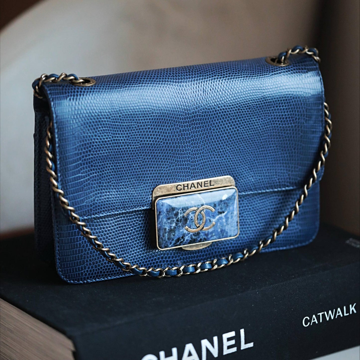 Chanel Vintage Very Rare Bag